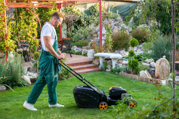 residential landscaping near me